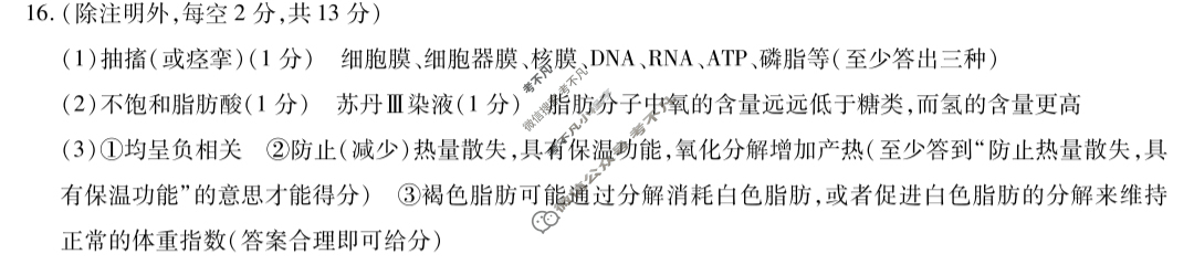 [天一大联考]安徽省2023-2024学年(上)高一冬季阶段性检测生物答案