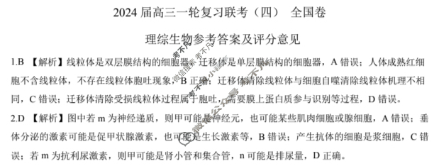 [百师联盟]2024届高三一轮复习联考(四)4理科综合(全国卷)答案