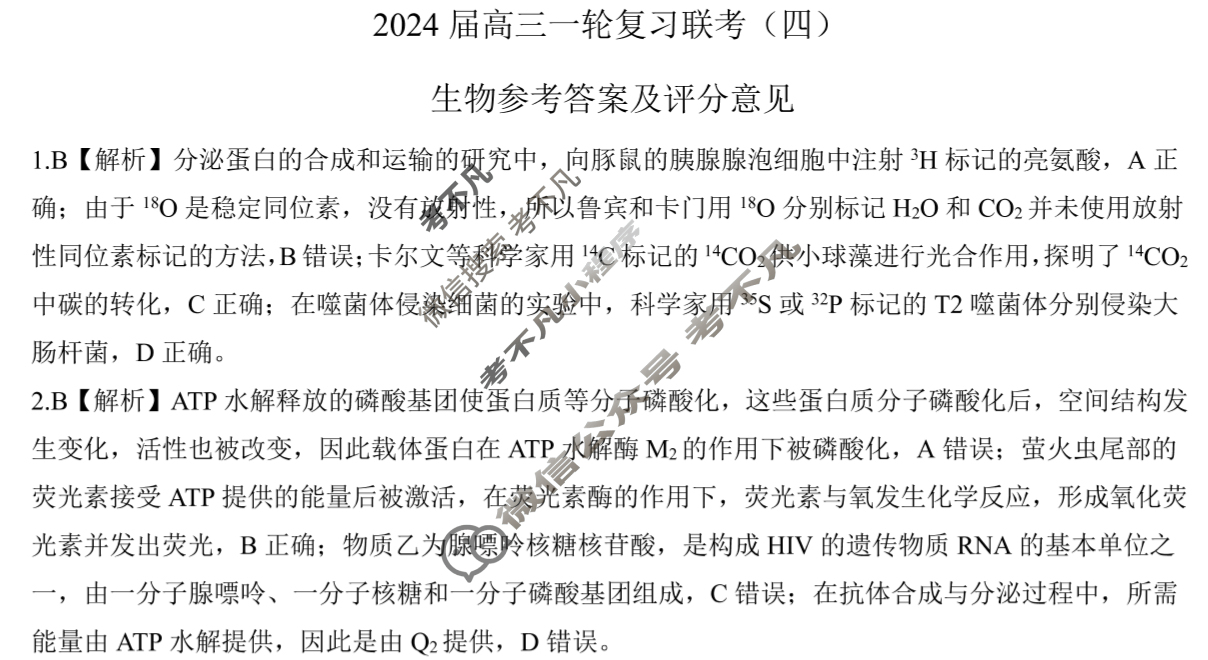[百师联盟]2024届高三一轮复习联考(四)4 生物(山东卷)答案