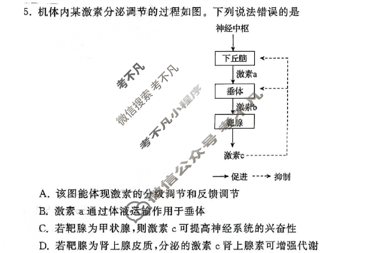 [衡中同卷]2023-2024学年度高三一轮复习滚动卷[湖南专版]生物学(六)6试题