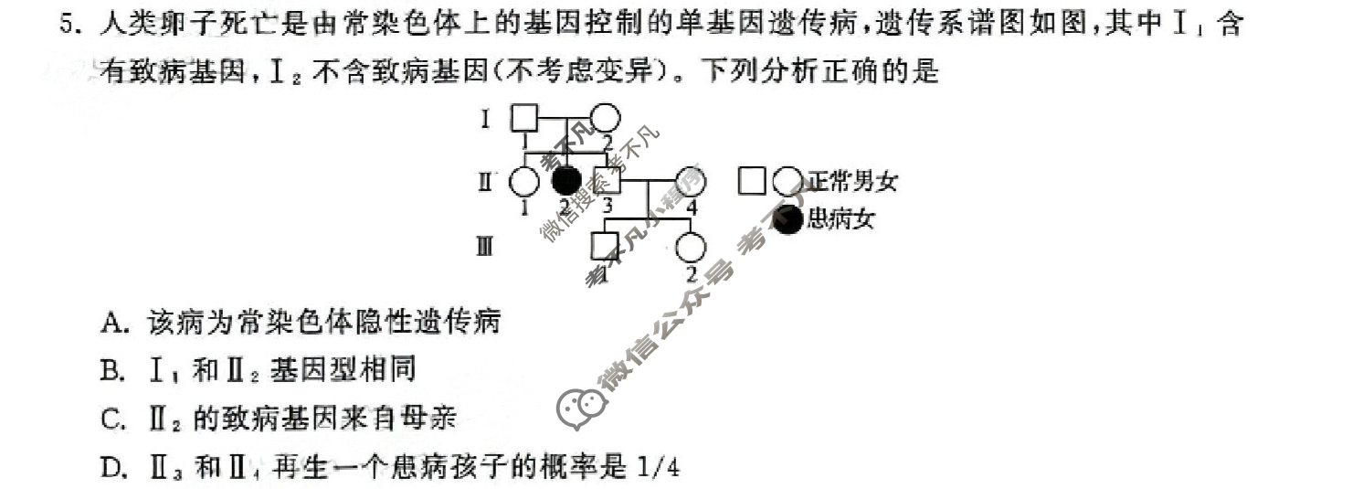 [衡中同卷]2023-2024学年度高三一轮复习滚动卷[广东专版]生物学(六)6试题