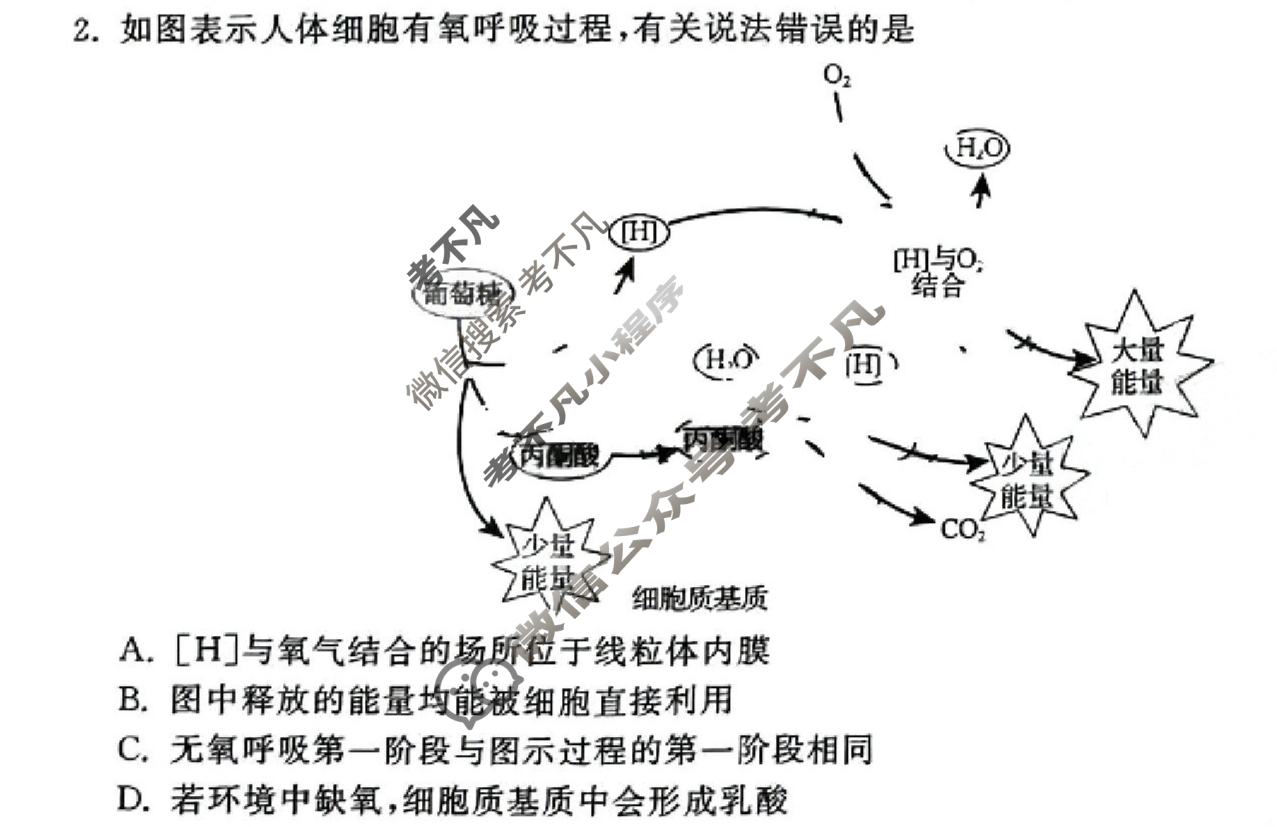 [衡中同卷]2023-2024学年度高三一轮复习滚动卷[湖南专版]生物学(四)4试题