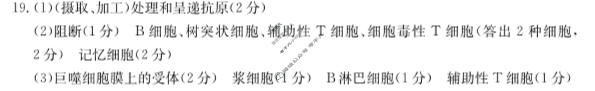 河北省2023-2024学年高二(上)质检联盟金太阳第四次月考(24-258B)生物答案