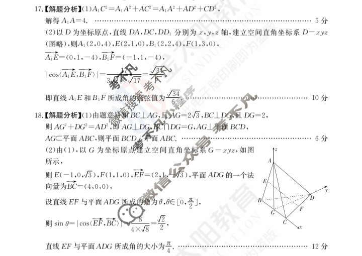 2024年全国100所名校高三单元测试示范卷[24·G3DY(新高考)·数学-必考-FJ]数学(十九)19答案
