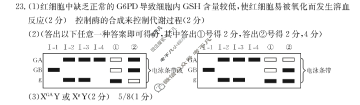 辽宁省2024届高三金太阳12月联考(24-262C)生物答案
