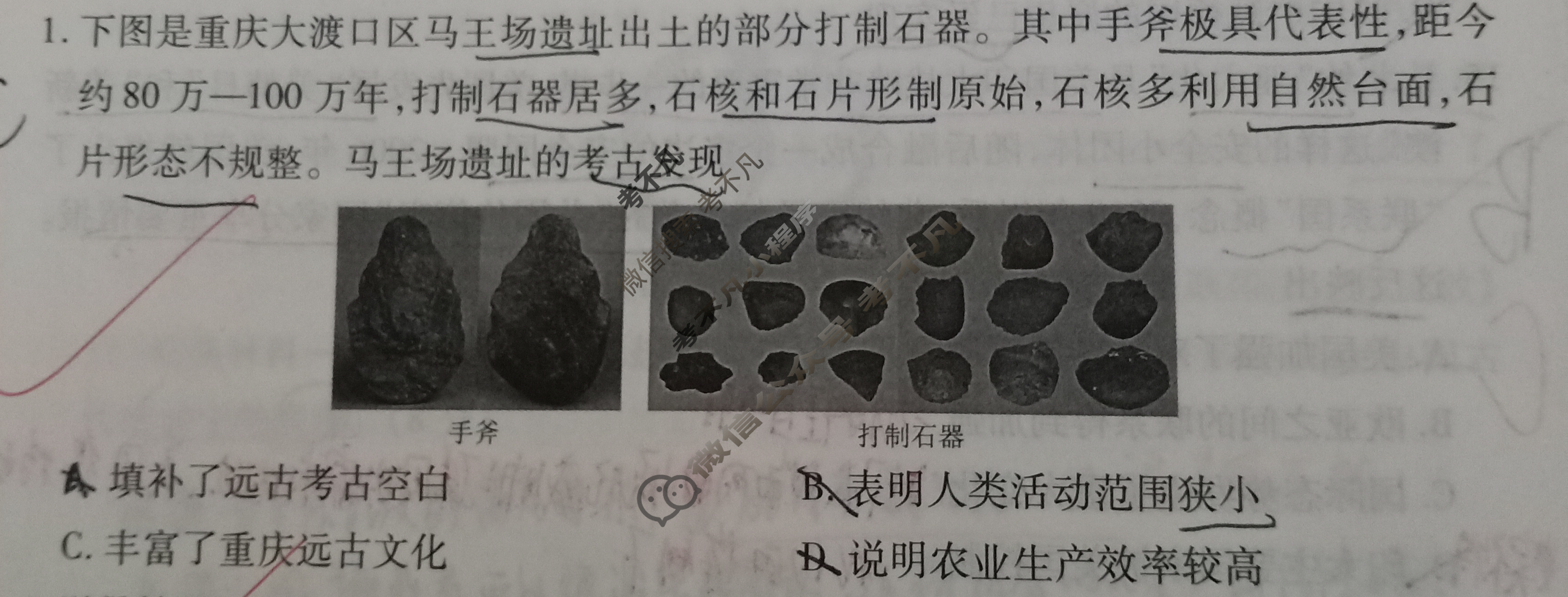 衡水金卷先享题(摸底卷) 2023-2024学年度高三一轮复习摸底测试卷[重庆专版] 历史(一)1试题