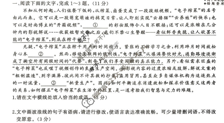 衡中同卷 2023-2024学年度高考总复习专题卷[新高考版]语文(十一)11试题