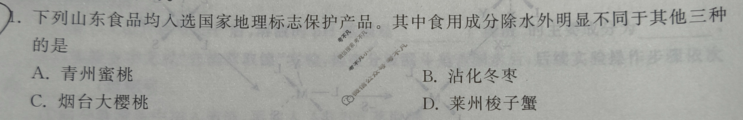 2024届衡中同卷 调研卷[新教材版L]化学(五)5试题