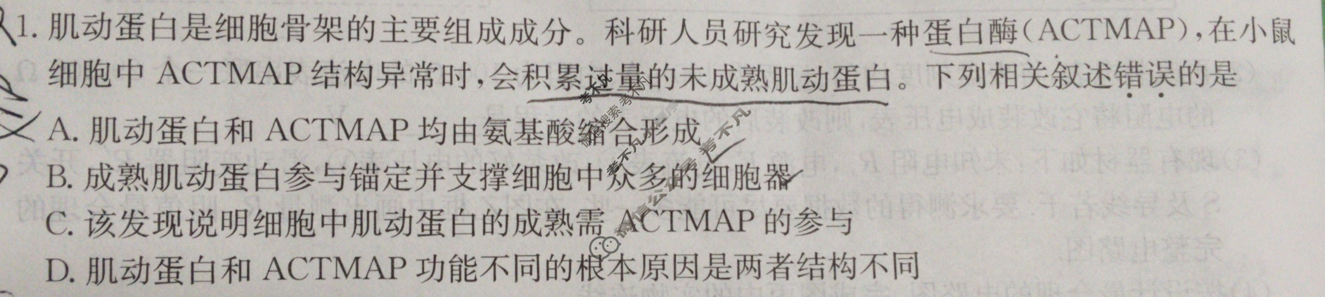 2024届全国高考分科调研模拟测试卷[XJC](二)2理科综合试题