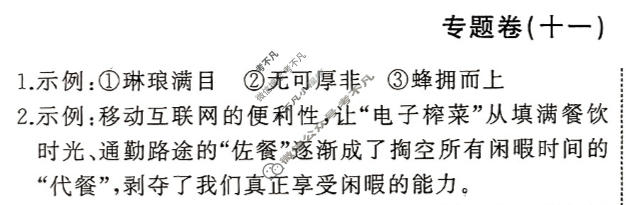 衡中同卷 2023-2024学年度高考总复习专题卷[新高考版]语文(十一)11答案