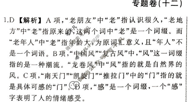 衡中同卷 2023-2024学年度高考总复习专题卷[新高考版]语文(十二)12答案
