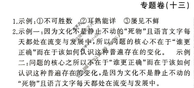 衡中同卷 2023-2024学年度高考总复习专题卷[新高考版]语文(十三)13答案