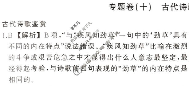 衡中同卷 2023-2024学年度高考总复习专题卷[新高考版]语文(十)10答案