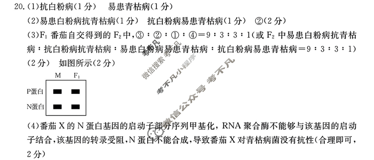 福建省2024届高三金太阳12月联考(24-254C)生物答案