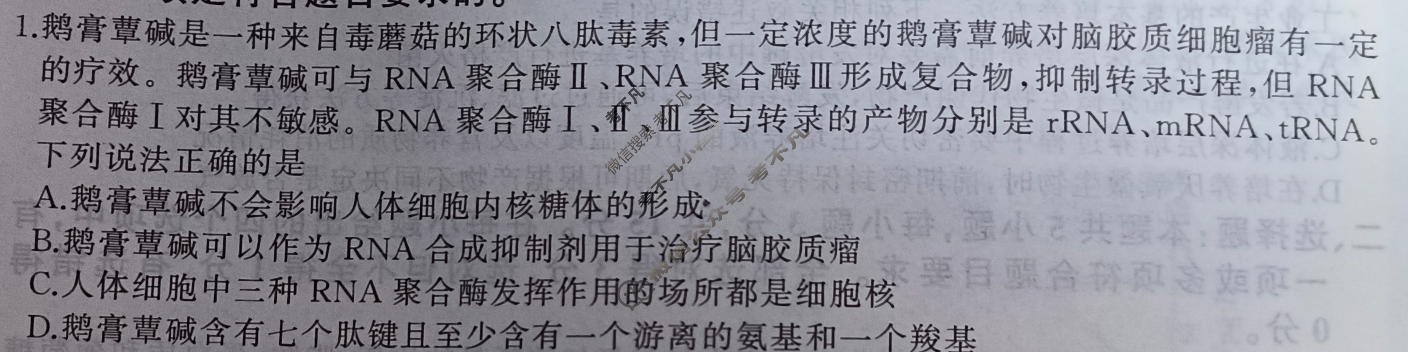 [百师联盟]2024届高三仿真模拟考试(一)1 生物(辽宁卷)试题
