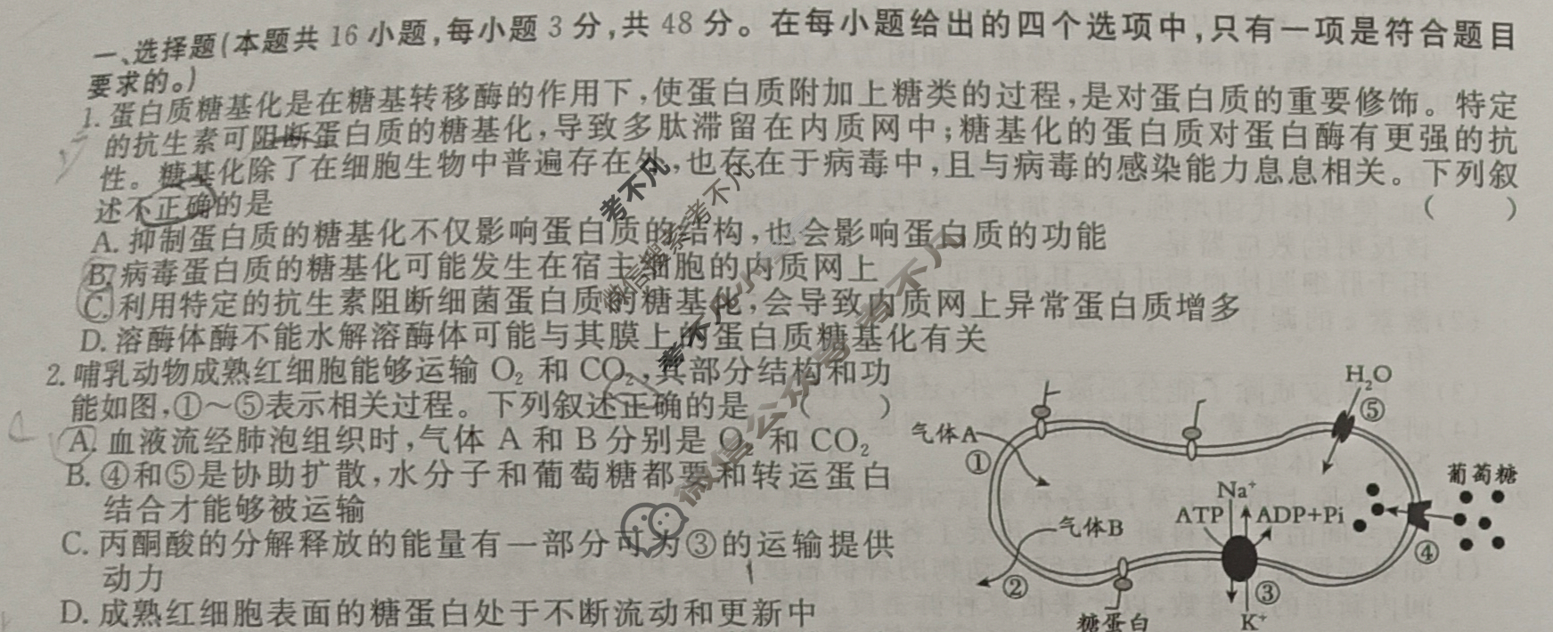 [名校联考]2024届高三总复习·月考卷(六)6生物AHX4试题