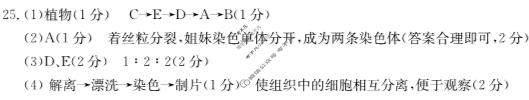 四川省2023-2024学年高一金太阳1月联考(24-300A)生物答案