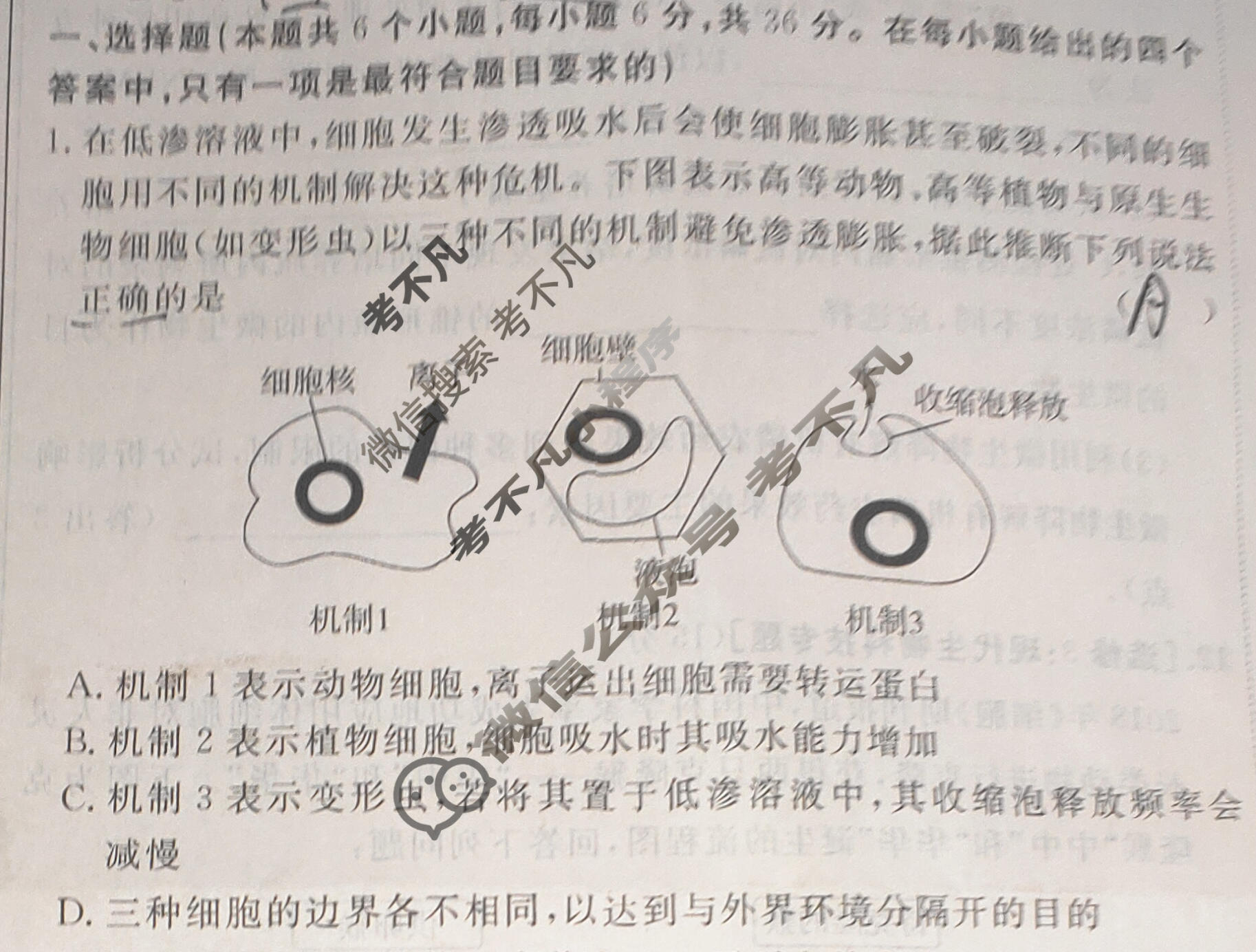 [快乐考生]2024届双考信息卷·第四辑 高三一轮收官摸底卷(三)3生物试题