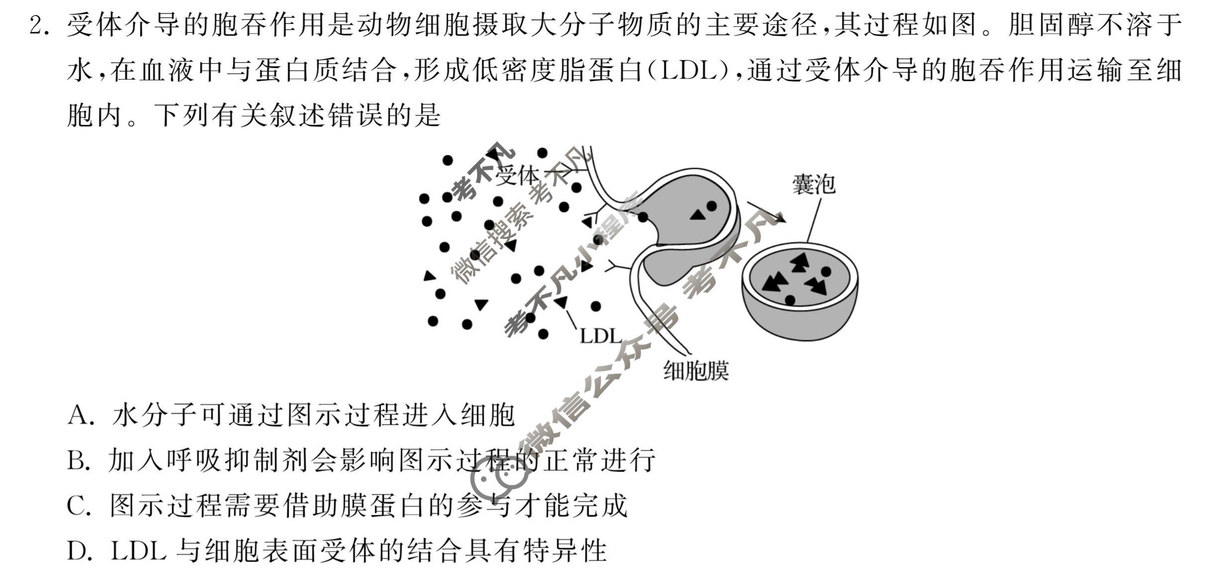 [衡中同卷]2023-2024学年度上学期高三年级期末考试[新教材版]生物试题