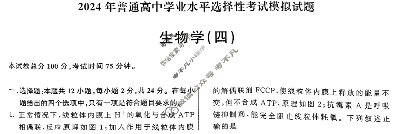 2024届衡中同卷 调研卷[新教材版X]生物学(四)4答案