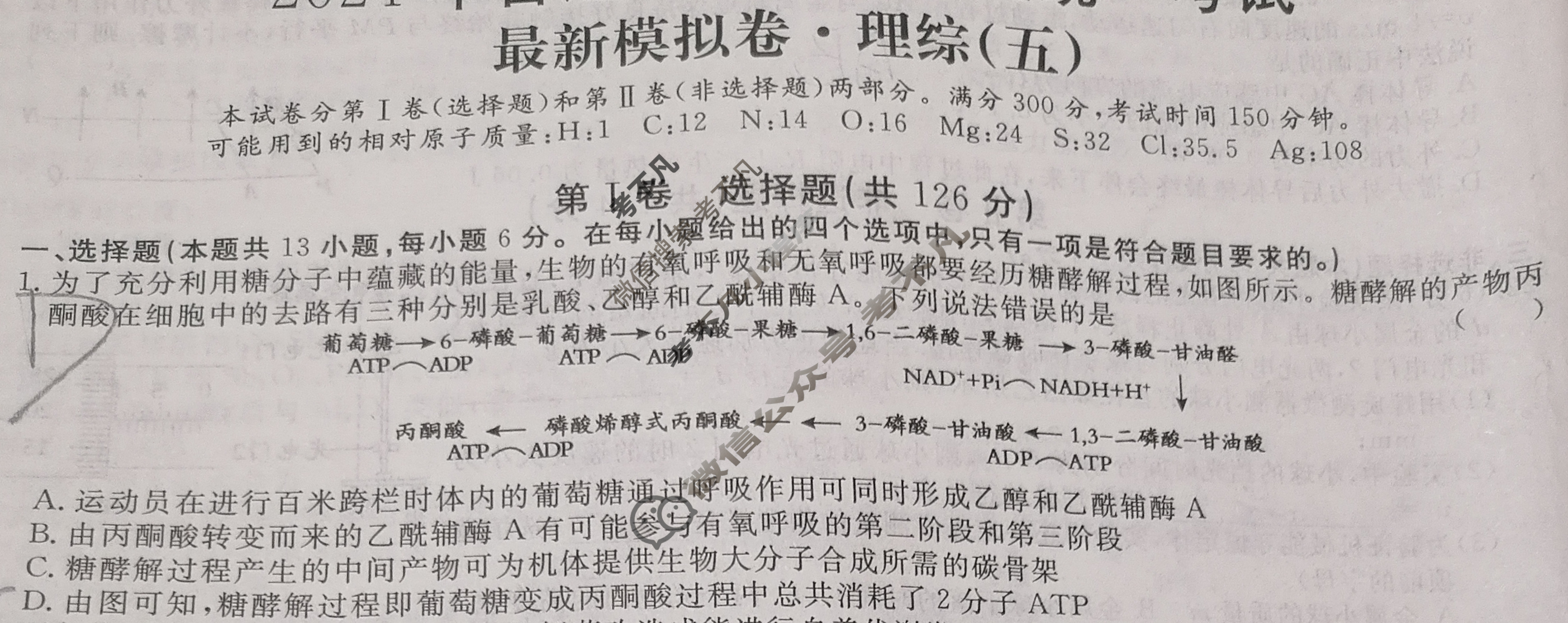 高三2024年普通高等学校招生统一考试 ZS4G·最新模拟卷(五)5理科综合ZS4G试题