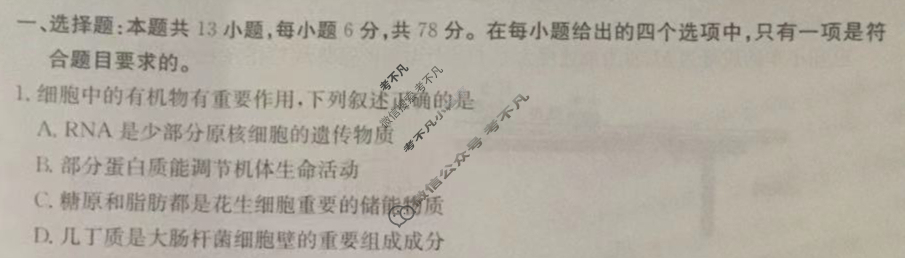 高三2024年全国高考·模拟调研卷(六)6理科综合XY试题