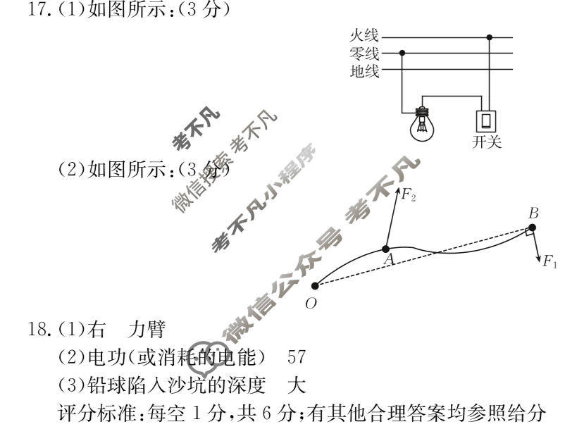 陕西省2023-2024学年金太阳九年级阶段诊断(✿)物理答案