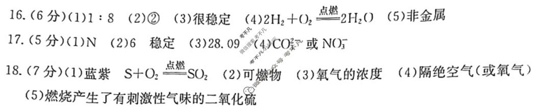 陕西省2023-2024学年金太阳九年级阶段诊断(✿)化学答案