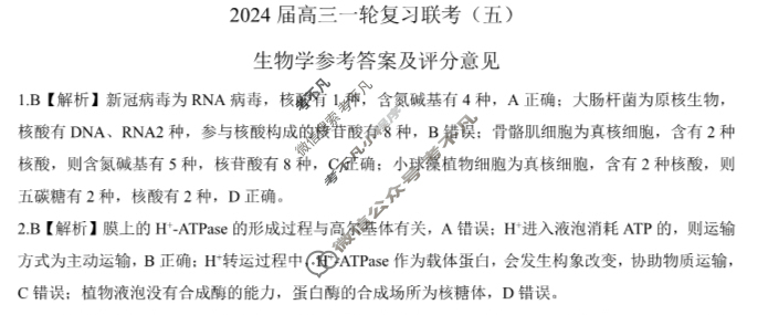 [百师联盟]2024届高三一轮复习联考(五)5 生物(湖北卷)答案
