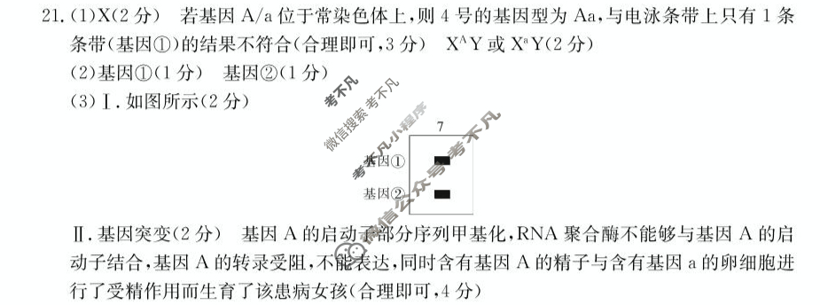 [湖北省]十堰市2024年高三年级元月调研考试(24-239C)生物答案