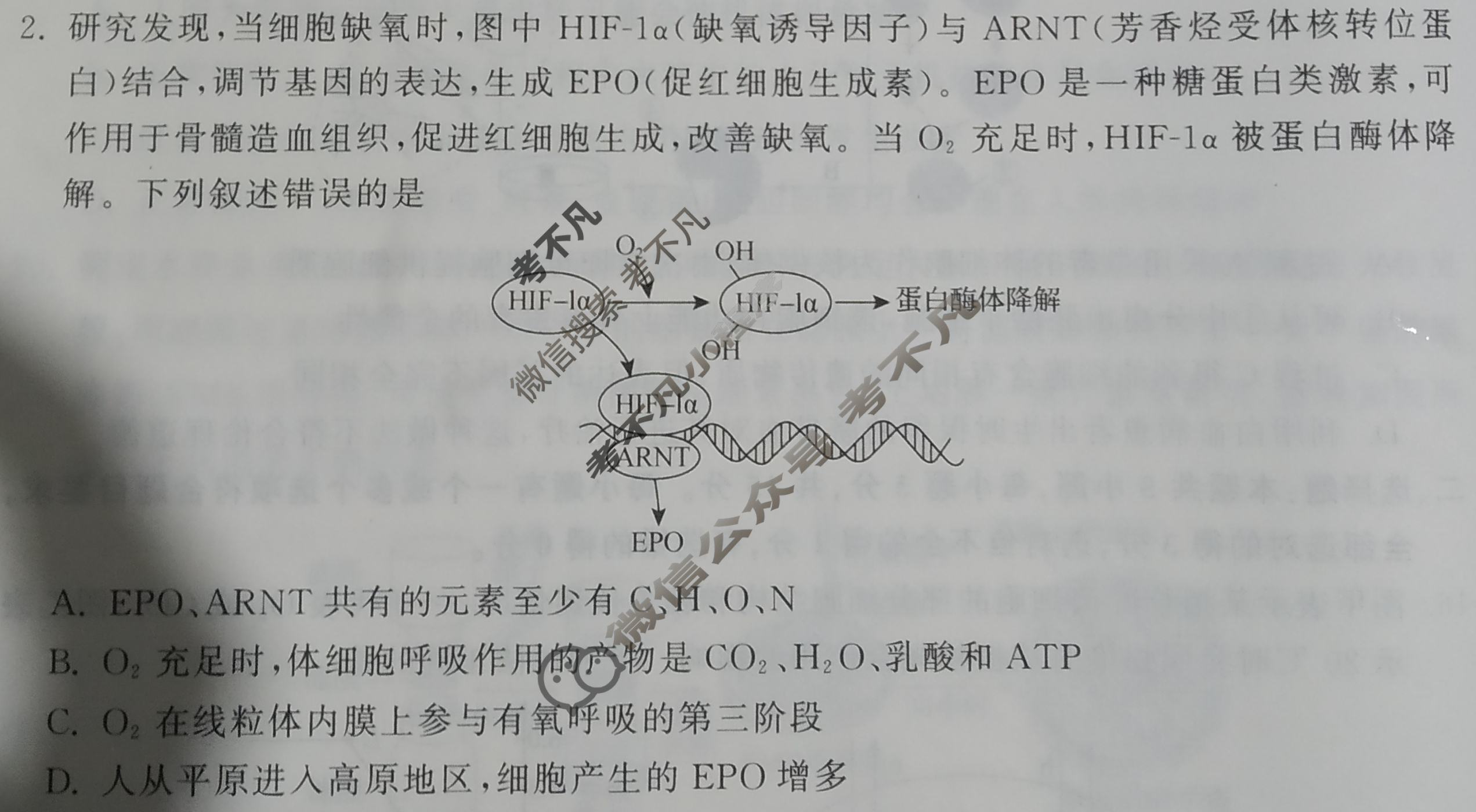 [衡中同卷]2023-2024学年度高三一轮复习滚动卷[新教材版L]生物学(五)5试题
