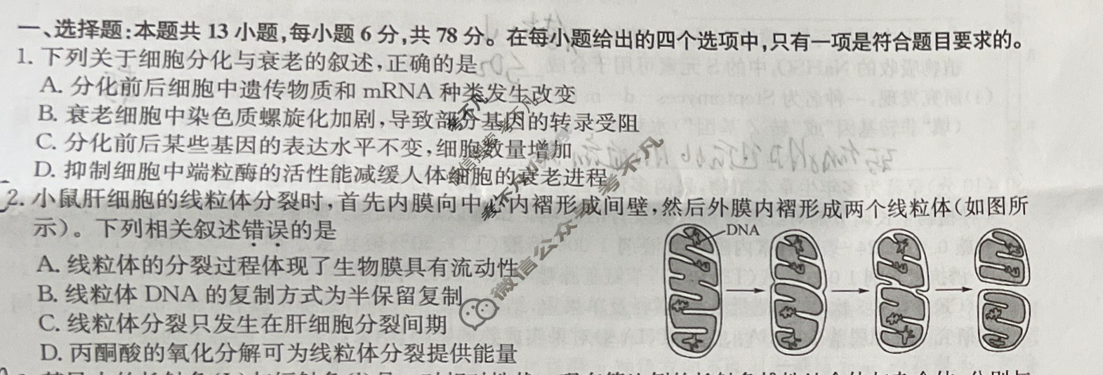 [九师联盟]2024届高三1月质量检测理综L试题