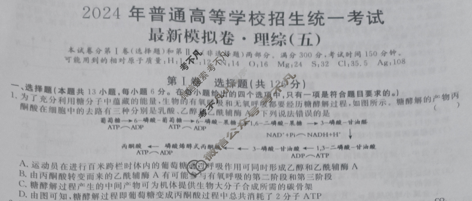 高三2024年普通高等学校招生统一考试 新S4·最新模拟卷(五)5理科综合试题