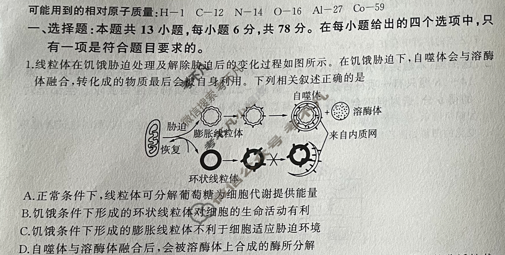 [百师联盟]2024届高三仿真模拟考试(五)5理科综合(全国卷)试题