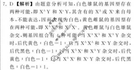 2024届衡中同卷 调研卷[新教材版G]生物学(二)2答案