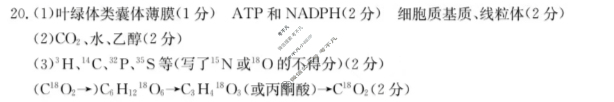 陕西省2023-2024学年金太阳高一年级教学质量监测(24-316A)生物答案