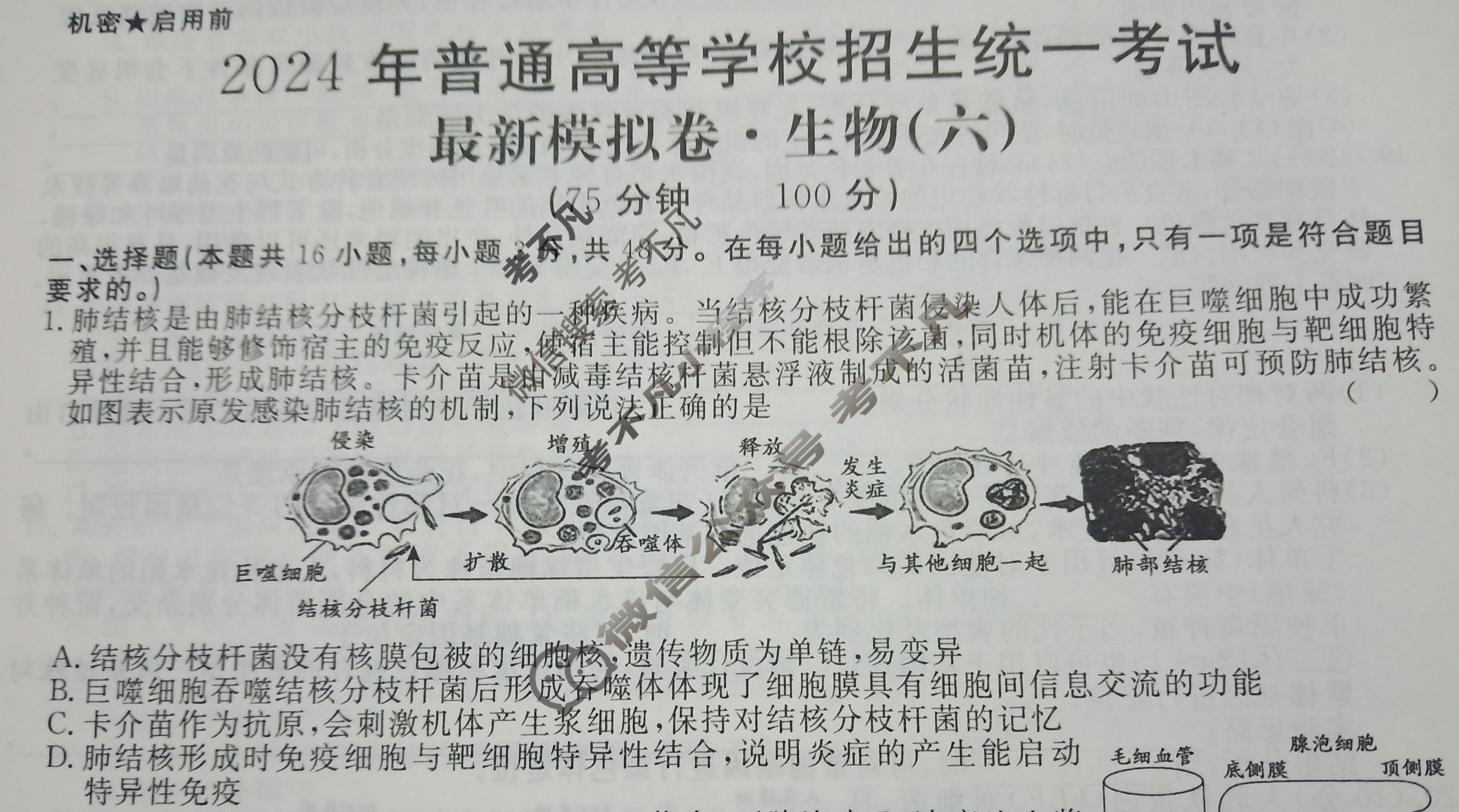 高三2024年普通高等学校招生统一考试 AHX4G·最新模拟卷(六)6生物AHX4G试题