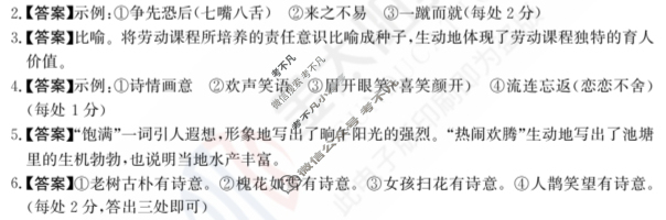 2024年全国100所名校高三单元测试示范卷[24·G3DY(新高考)·语文-R-必考-FJ]语文(二十四)24答案