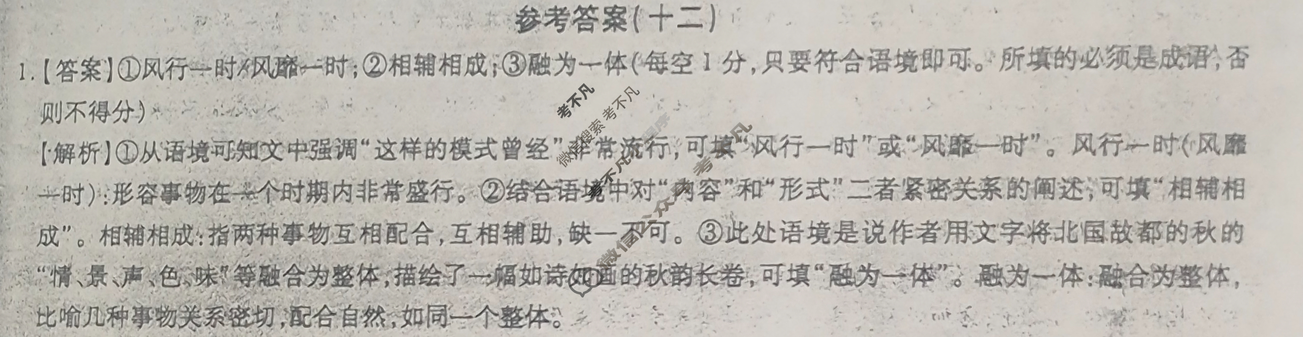 [智慧上进]2024届限时训练·单科模拟必刷卷·语文(十二)12答案