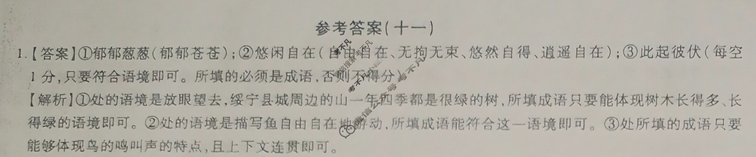 [智慧上进]2024届限时训练·单科模拟必刷卷·语文(十一)11答案