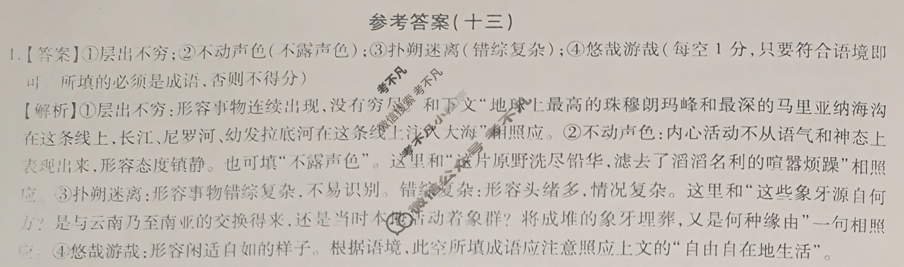 [智慧上进]2024届限时训练·单科模拟必刷卷·语文(十三)13答案