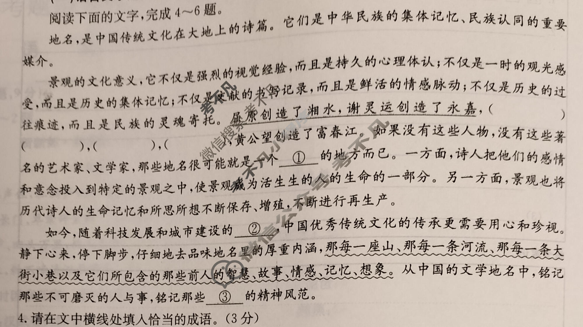 2024新高考题型专练·小题抢分卷[新高考(新教材)]语文B(十一)11试题