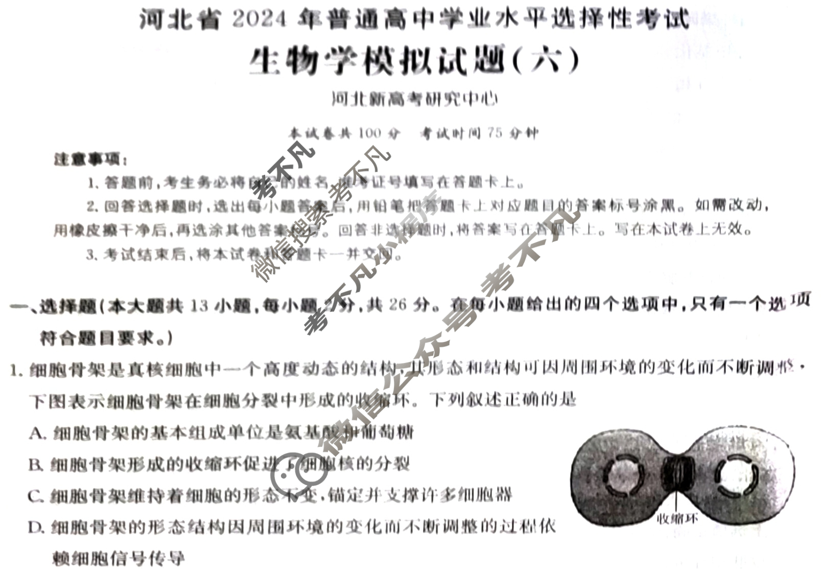 河北省2024年普通高中学业水平选择性考试·生物(六)6[24·(新高考)ZX·MNJ·生物·HEB]试题