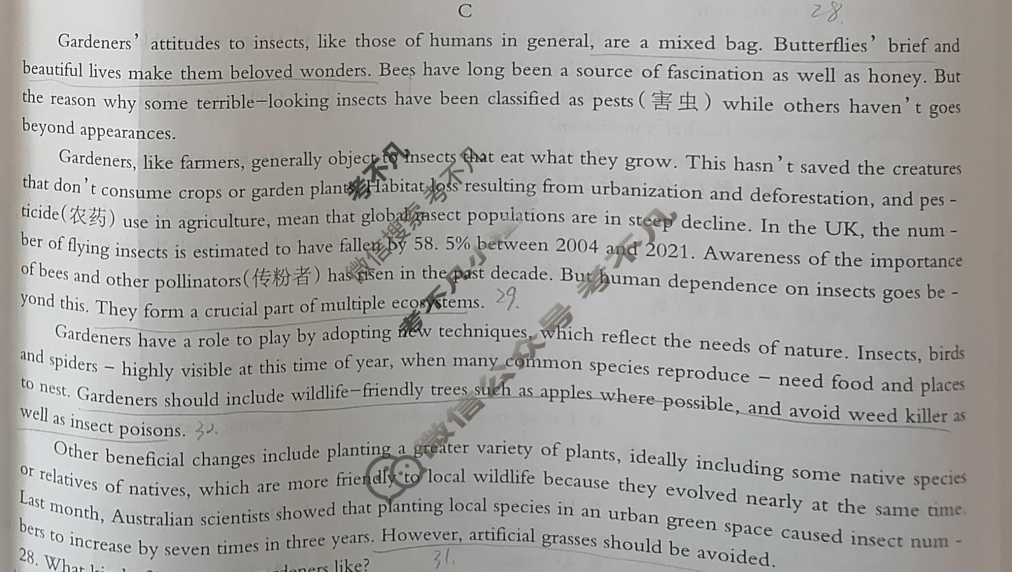 高三2024年全国普通高等学校招生统一考试 JY高三·A区专用·模拟卷(四)4英语试题