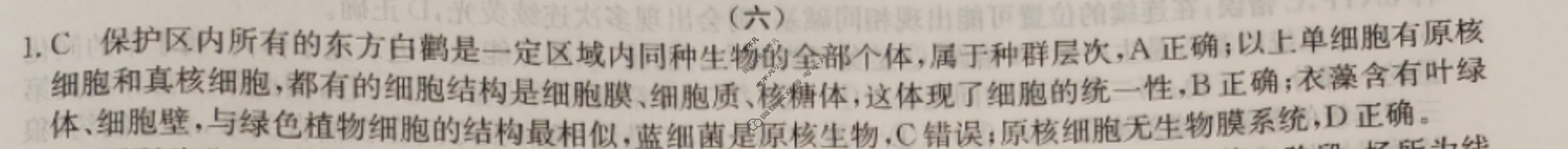 高三2024年普通高校招生选考科目考试仿真模拟卷(六)6生物AN答案