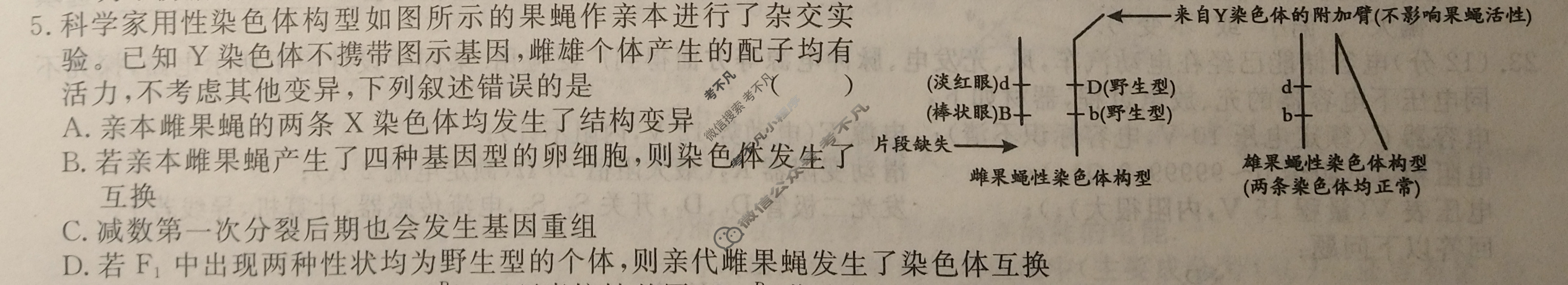 高三2024年普通高等学校招生统一考试 ZS4G·最新模拟卷(四)4理科综合ZS4G试题
