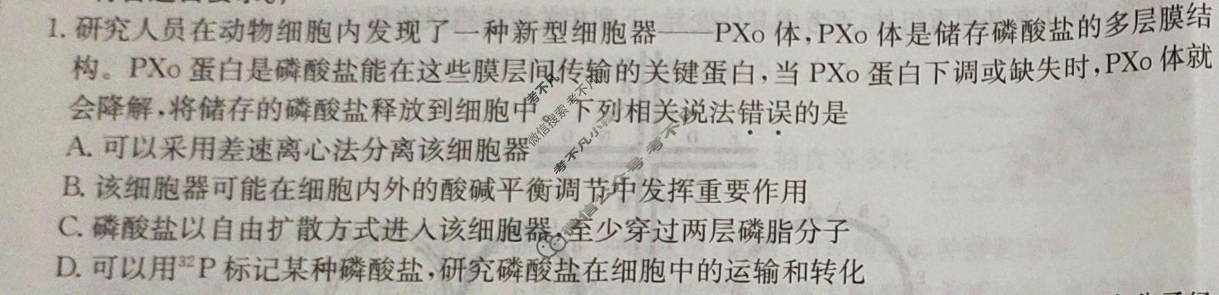 河北省2024年普通高中学业水平选择性考试·生物(四)4[24·(新高考)ZX·MNJ·生物·HEB]试题