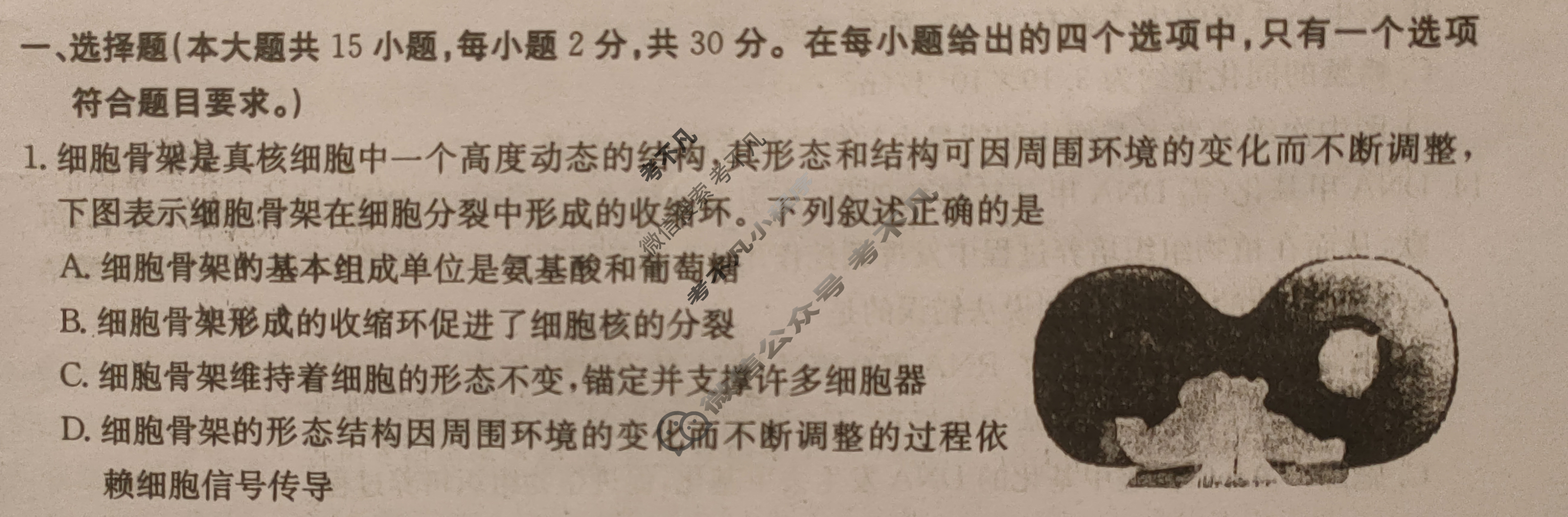 山东省2024年普通高中学业水平等级考试·生物学(六)6[24·(新高考)ZX·MNJ·生物学·SD]试题