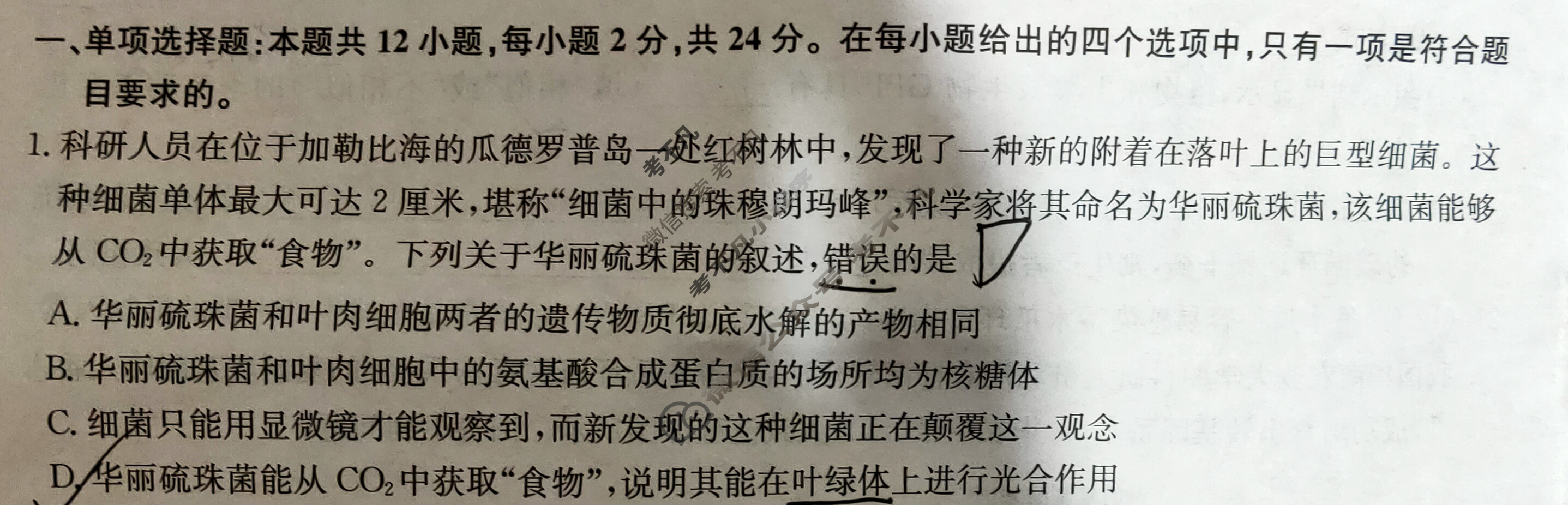 [九师联盟]2024届高三1月质量检测巩固卷生物N-G试题