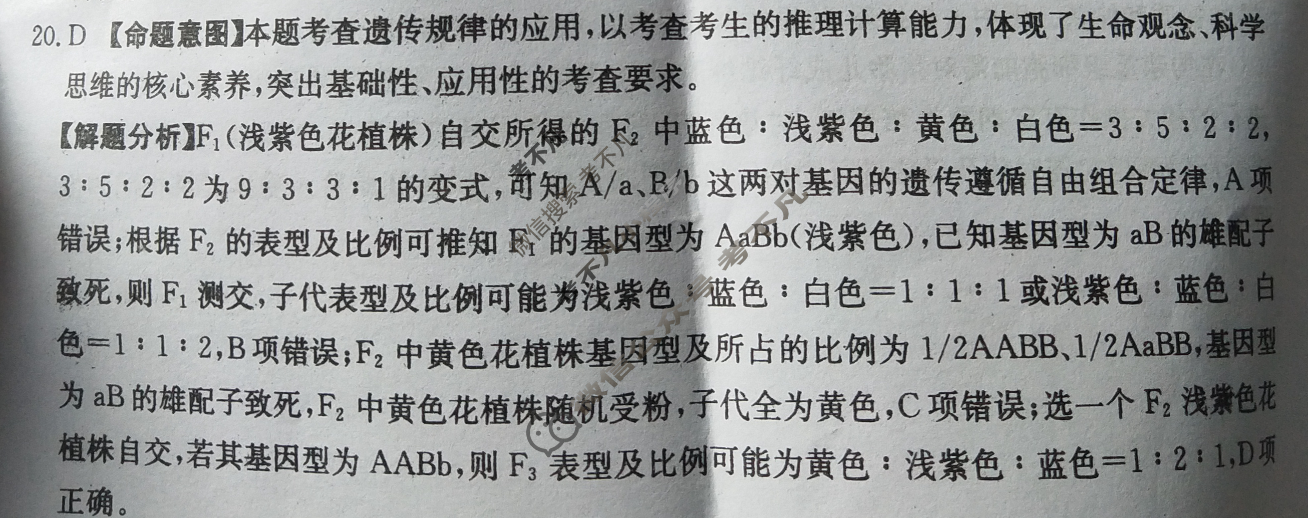 山东省2024年普通高中学业水平等级考试·生物学(六)6[24·(新高考)ZX·MNJ·生物学·SD]答案
